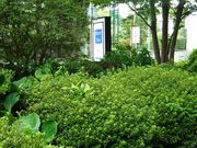 ̐lX̃o^[m[g(BUTTERNOTE)̓eʐ^2