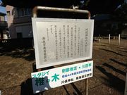 korikori����̐얓�_�Ђ̃X�_�W�C�̓��e�ʐ^2