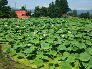 ݂Ԃ̈򎛂̑nX̓eʐ^1