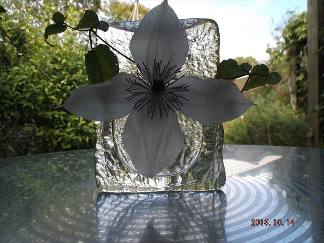 �f�G�E�E�E_�N���}�`�X�̋u