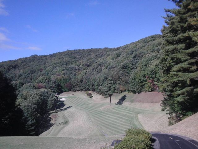 �ł����낵������_�~���J���g���[��y��