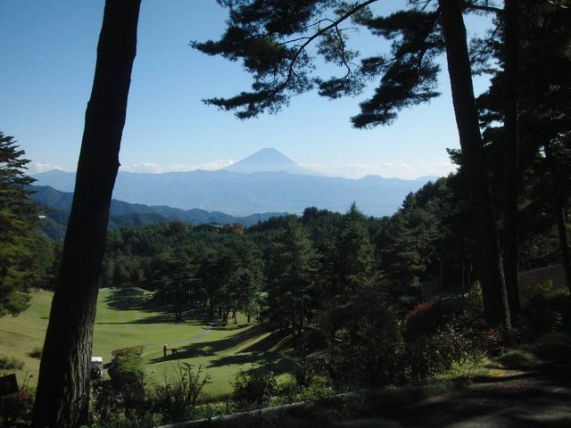 �x�m�R�����܂�_�~���J���g���[��y��