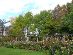 ̐lXȍ oN CObV K[fւ̓eʐ^2