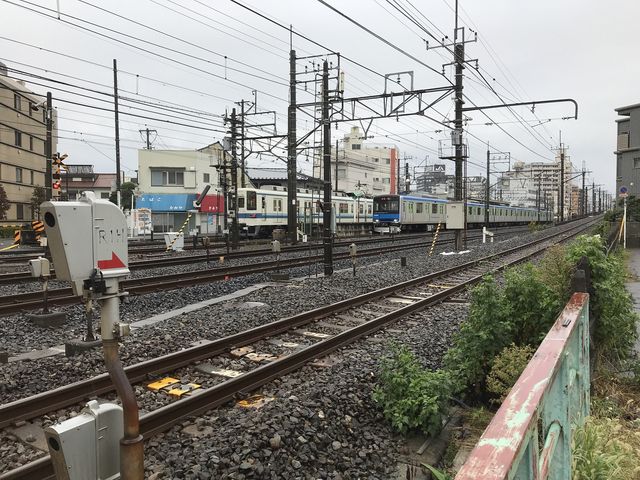 �߂��̓��؂���k��{�w���݂�_�����S���k��{�w