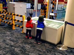 ���Ԃ܂���̋��s�S�������قւ̓��e�ʐ^1