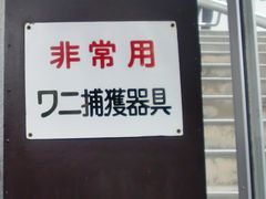 񂳂̔Moiijւ̓eʐ^1