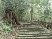 ibokororǐFÓ̓eʐ^1