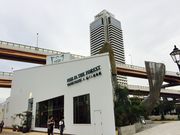 䂫ȂFish in the Forest ` TOOTH TOOTH ~ A `̓eʐ^1