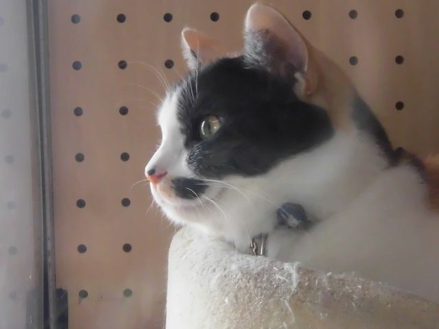 �B_�ɑ��F�]�w