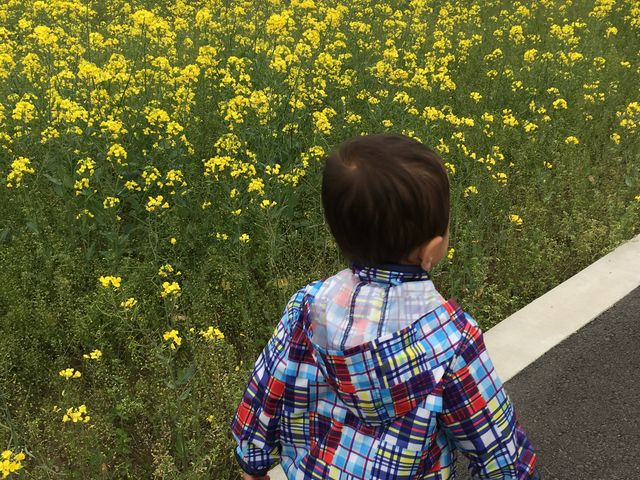 ��ʍ؂̉Ԃ��炢�Ă��܂����I_���̉w ���V�ɂЂ�����