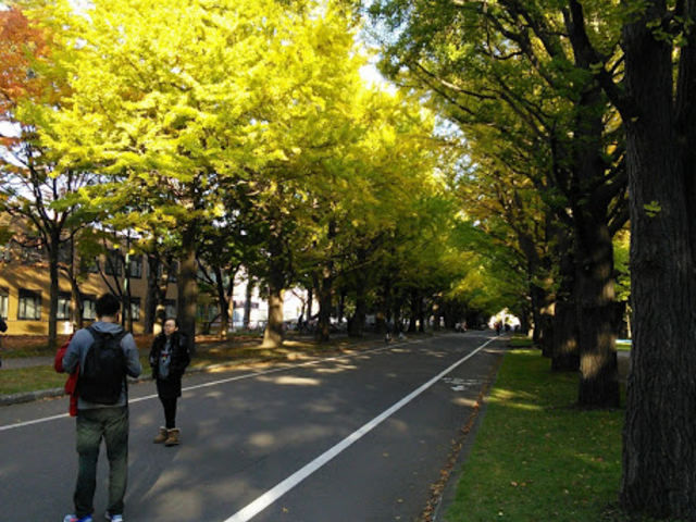 2017/10/14_�k��C�`���E����