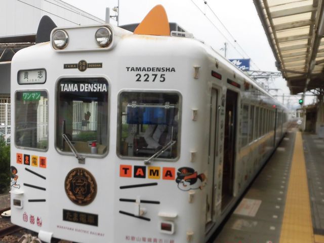 �J_�a�̎R�d�c