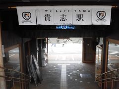 ڂ肳̋Muwi܃~[WA jւ̓eʐ^1