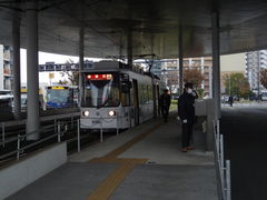 machǎF{sdւ̓eʐ^1