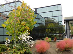 Ԗ삳̗R̋x sE|́iԂ肩jւ̓eʐ^1