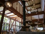 Ղ邯񂳂َ̂q̂ ΐ{X̓eʐ^1