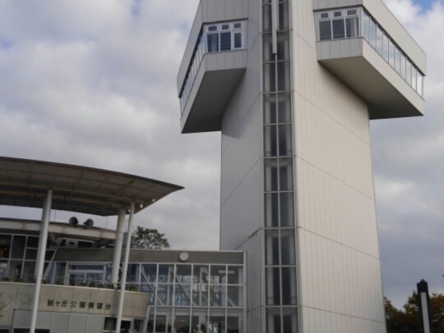 �W�]��_�΃��u����