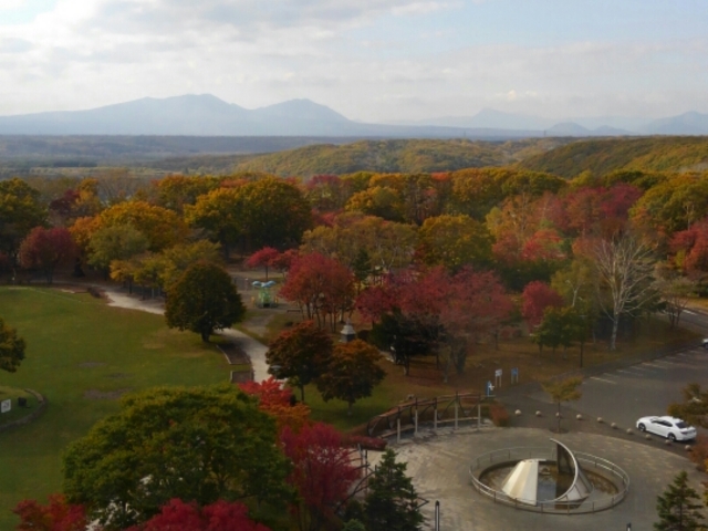 �M�O�R_�΃��u����