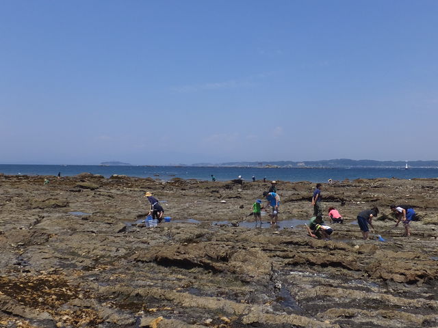 �t�R�̐X�ˊC��_�X�ˊC������