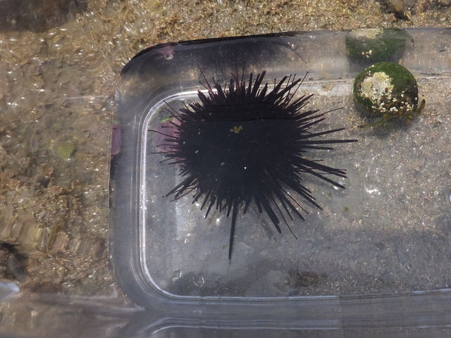 �E�j�����܂�_�X�ˊC������