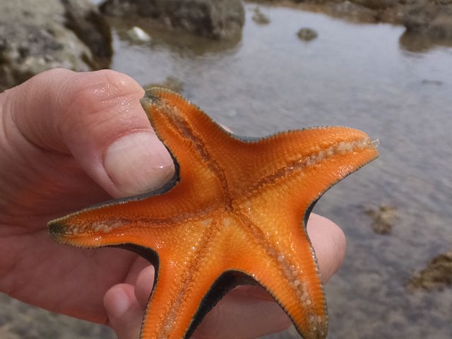 LNGr̂낿񂳂̐XˊC̓eʐ^4