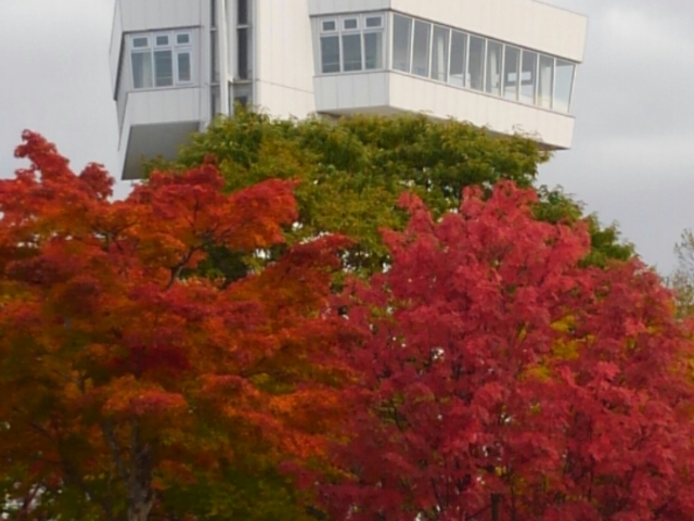 �W�]��_�΃P�u�����W�]��