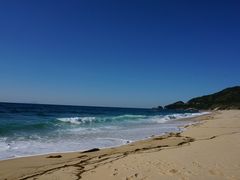 ۂ񂽂̉icEȂlւ̓eʐ^1