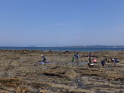 LNGr̂낿񂳂̐XˊC̓eʐ^1