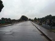 ܂[܂񂳂̔쉀̓eʐ^3