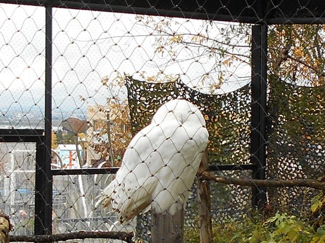 �e���r�Ō�����_���R������