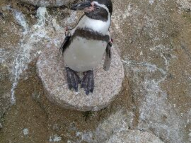 ���֎s�������̂��������فE�C����