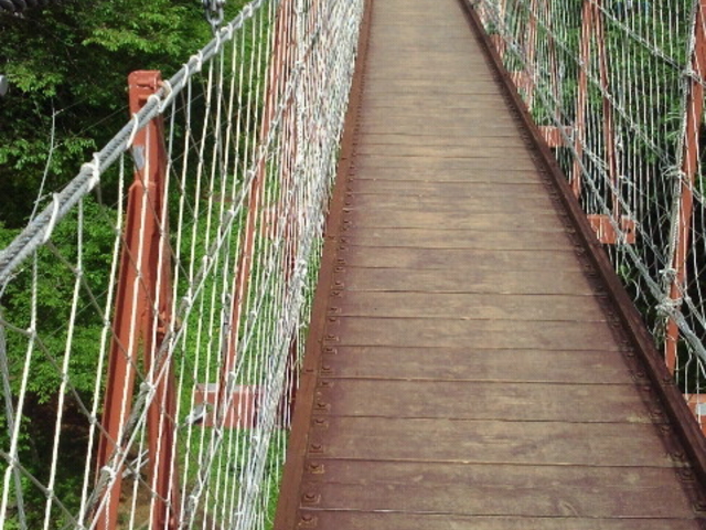 �������ɂ���݋�_�x�͕����R����