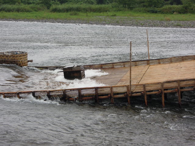 ݂PO[gقǂ̂Ƃ_߉ϐiȖ،ߐ{GRsj