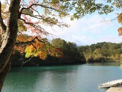 jkammy07̌ܐFRTHւ̓eʐ^1