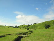 ܂񂳂̂܂Ȃ݃nCEFC̓eʐ^1