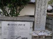 ܁[搶̍W×{̒n̓eʐ^1