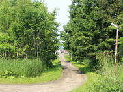 ̃jb|^J[  ʋ`OX̓eʐ^2