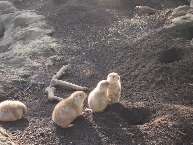 ������_�s�D����