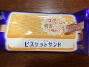 AC̃t@~[}[gr`X̓eʐ^1