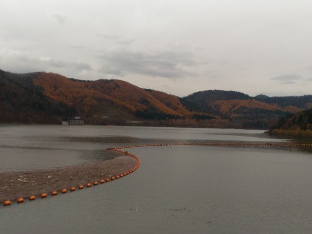 �_������_�ꗢ��