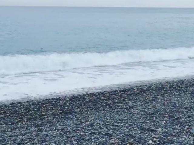 �q�X�C�C��_�q�X�C�C��