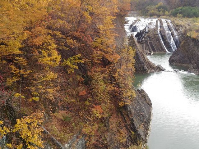 1�T�ԈʑO���ȁH_��̏�����i�|���\�E�J���C�R�^���璹�P��j