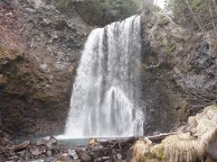 ܂[܂񂳂̑PܘY̑ւ̓eʐ^1