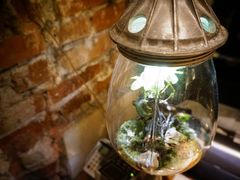 cafe independantsiJtF Afp_jւ̓eʐ^1