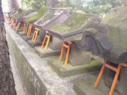 �Ƃ�˂�����̋M�D�_�Ђ̓��e�ʐ^2