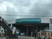 ݂ǂ̔][g@r̕CNTChvU̓eʐ^1