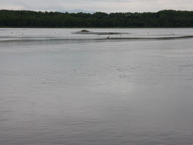 �쒹�̊y��_������