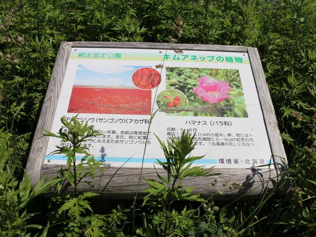 ���̕\���Ŕ�_�L���A�l�b�v���L�����v��