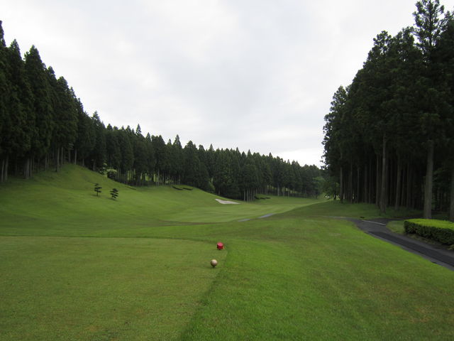 ܂ȂG8xmJg[Nu̓eʐ^1