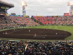 阪神甲子園球場の写真一覧 じゃらんnet
